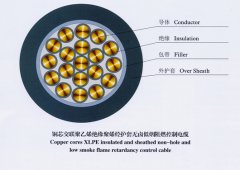 DWZ-KYJYP,DWZ-KYJYP2,低煙無鹵阻燃型控制電纜