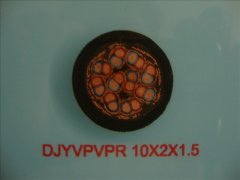 計算機(jī)電纜DJYVPVPR-10*2*1.5