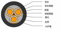 3*2.5，3*3，3*4，3*6，3*10，3*16，3*25屏蔽電纜結(jié)構(gòu)圖