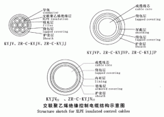 KYJV，KYJVP，KYJV22額定電壓0.6/1kV交聯(lián)聚乙烯絕緣控制電纜