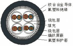 熱電偶專用高溫測(cè)量電纜線AKFFPXR200,ANFFPXR200